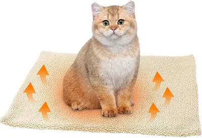 Produktbild von Selbstheizende Decke fš¹r Katzen Hunde, Heizdecke W?rmematte Katzendecke 60 x 45 cm, W?rmedecke Katzenbett Selbstw?rmende Katzen Decken, Waschbare Hunde Thermodecke (Weiss)