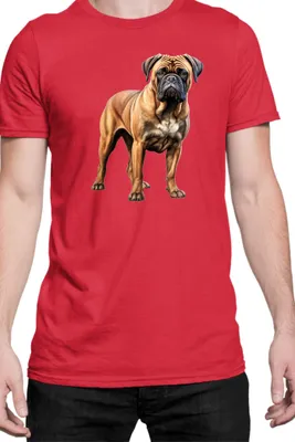 Produktbild von Herren T-Shirt Dogs Breeds Bullmastiff Dog Breed 005, Man S / Rot