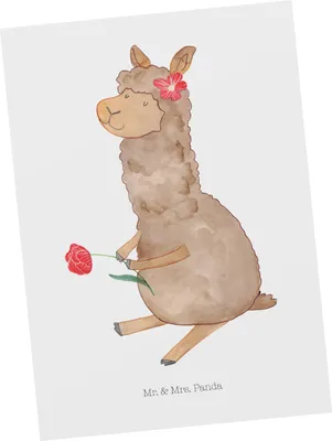 Produktbild von Mr. & Mrs. Panda Grußkarte Alpaka Blume - Weiß - Geschenk, bildkarte, Lama, Lamas, Postkarte, Spruch, Postkarten, Kunstkarten, Ansichtskarten