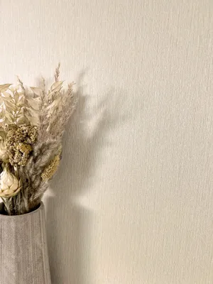 Produktbild von NEWROOM Tapete Kalon Uni Beige Vliestapete - Modern Unifarbe Struktur  Germany
