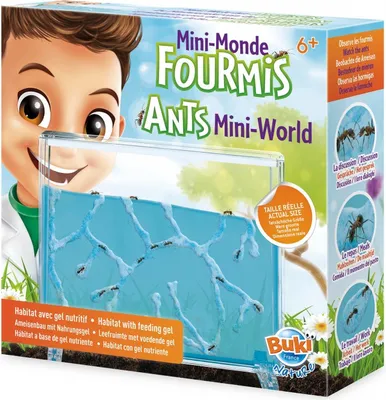 Produktbild von Mini-Ameisenwelt
