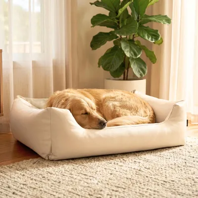 Produktbild von 4L Textil Mario Orthopädisches Hundebett aus Kunstleder Beige 140x110 cm Extra Groß Memory Foam Stabil Wasserabweisend
