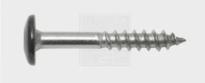 Produktbild von SWG Fassadenschraube 5,5 x 35 mm A4 sepiabraun TX20  100 Stück