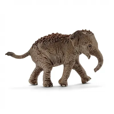 Immagine prodotto di Schleich 14755 cucciolo di elefante asiatico