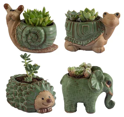 Image de Ensemble de 4 petits pots en céramique, idéal pour les succulentes et les cactus