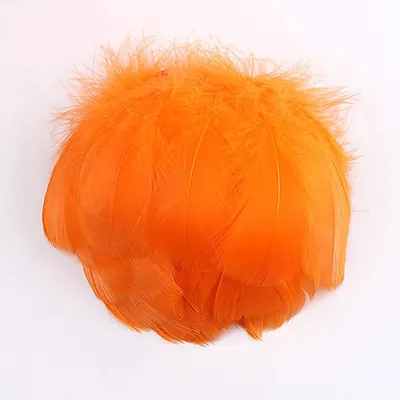 100 bunte Naturfedern zum Basteln, Gänsefedern, 7-12 cm, orange