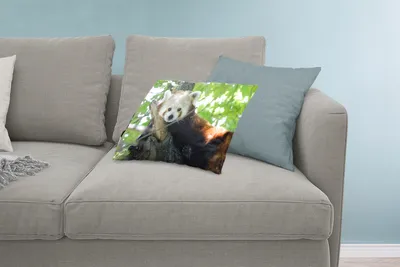 Produktbild von MuchoWow® Zierkissen Sofakissen Wohnzimmer Dekokissen 60x40 cm Roter Panda - Baum - Grün - Kopfkissen - Polster mit Foto