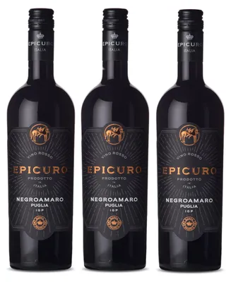 Image de Epicuro Negroamaro Puglia IGP fruité fin d'Italie 750ml pack de 3
