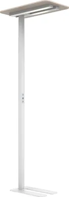 Produktbild von UNILUX Stehleuchte NEXUS E 54 kWh/1.000h LED weiß
