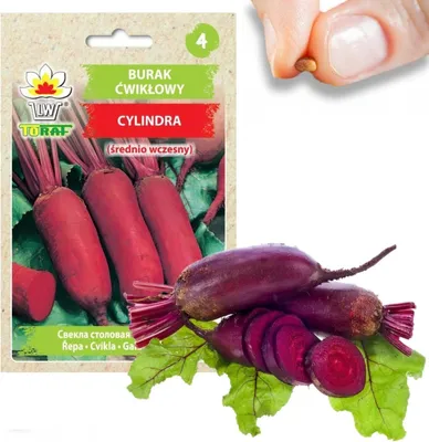 Obrázok produktu pre Cylindra Zeleninové semená skoré 10G Červená repa