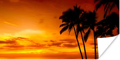 Produktbild von MuchoWow® Poster Palme - Sonnenuntergang - Tropisch - Orange - Meer 40x20 cm - Poster für die Wand - Poster Schlafzimmer