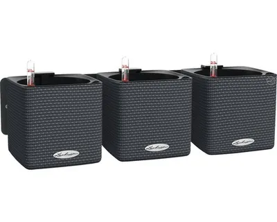 Obrázok produktu pre LECHUZA Green Wall Home Kit, Kvetináč, Nástenný, Polypropylén (PP), Tablet, Čierna, Štvorec, Vnútorný