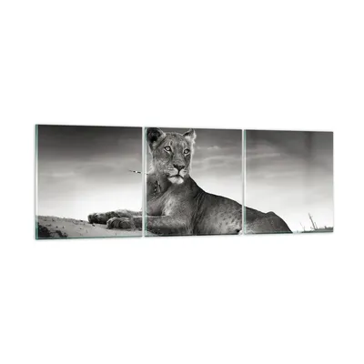 Produktbild von Bilder auf glas - Tierwelt weiblich katze Tier - 150x50cm - Glasbilder - Wandbilder - Kunstdruck - zum Aufhängen bereit - Wanddekoration aus Glas - Glas Bilder - Wandbild auf Glas - GCA150x50-3165