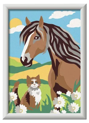 Produktbild von Ravensburger 12023056, 1 Seiten, Farben enthalten, Junge/Mädchen, Malen nach Zahlen Set