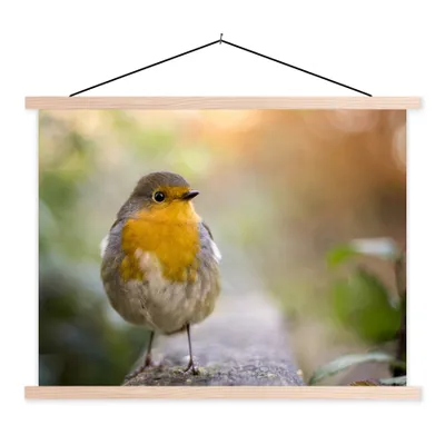 Produktbild von MuchoWow® Textilposter Vögel - Rotkehlchen - Baum 40x30 cm mit holzfarbenen Rahmen - Bilder