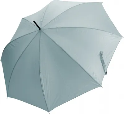 Produktbild von Pierre Cardin Stockschirm Damenregenschirm Automatiköffnung Metallic Hellblau