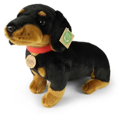 Produktbild von Plüsch-Dackel mit Halsband, 36 cm, umweltfreundlich