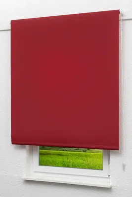 Produktbild von Lysel Outlet - Basisrollo Tageslicht Bordeauxrot, (B x H) 102.50cm x 190cm in rot/bordeauxrot