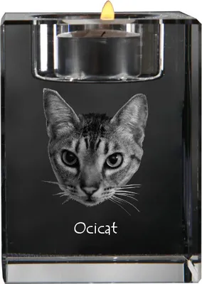 Produktbild von Ocicat Kristallkerzenständer mit Katze Art-Dog