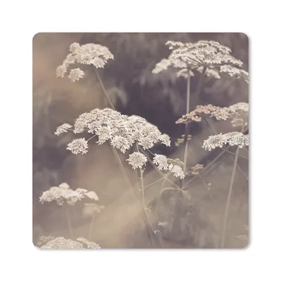 Produktbild von MuchoWow® Mauspad Mousepad Pflanze - Weiß - Natur - Blumen 30x30 cm - Mousepads - Maus Mat - Pad - Mausunterlage - Gaming