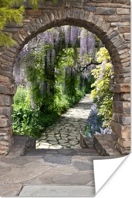 Produktbild von MuchoWow® Poster Wald - Aussicht - Steine - Weg 60x90 cm - Wanddekoration