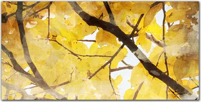 Produktbild von Coloray Bild aus Acryl 120 cm x 60 cm - Wohnzimmer Acrylblock mit Bild Wanddekoration Gehärtetes Acryl Dekoration Küche - Baumzweige Blätter