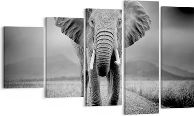 Produktbild von Bild auf Leinwand - Leinwandbild - 5 Teile - Elefant Wildnis Natur - 100x60cm - Wand Bild - Wanddeko - Wandbilder - Leinwanddruck - Bilder - Wanddekoration - Leinwand bilder - Wandbild - EG100x60-4966