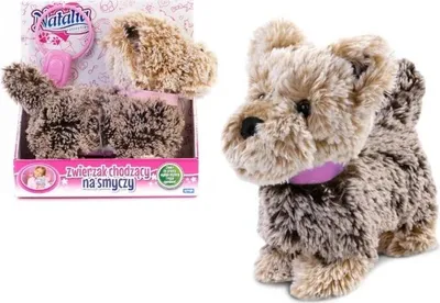 Obrázok produktu pre Pes Natalia na vodítku 122736