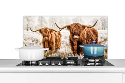 Produktbild von KitchenYeah®  Spritzschutz Küche - Küchenrückwand - Wandschutz für Herd und Spüle - Schottisches Hochlandrind - Tiere - Kuh 80x40 - Alu-Dibond (Alternative zum Spritzschutz aus Glas) - Hitzebeständig