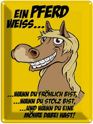 Zdjęcie produktu dla vianmo Blaszany znak 40x30 cm Ein Pferd weiss wann fröhlich