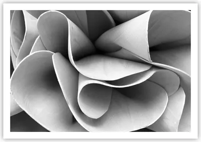 Produktbild von Poster - Poster ohne Rahmen - Material Ornament Stück - 100x70 cm - Wand Bild - Wanddeko - Wandbilder - Kunstposter - Wandposter - Bilder - Kunstdruck - Wanddekoration - Wandbild - P2XAA100x70-4993