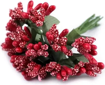 Immagine prodotto di Bouquet / porridge decorativo rosso