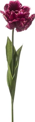 Produktbild von artplants.de Kunst Papageientulpe LIOMARA, dunkellila, 65cm - Künstliche Tulpe