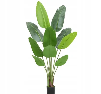Zdjęcie produktu dla SZTUCZNA Roślina PALMA BANANOWIEC W DONICZCE REALISTYCZNY 70cm Egzotyczny