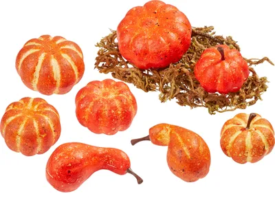 Produktbild von HobbyFun Kürbisse mit Moos 3.2 bis 5.8 cm 8 Stück Deko Herbst Halloween
