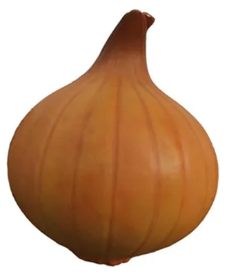 Zdjęcie produktu dla Cebula figura sklep dekoracja statuetki figury 110cm dekoracja ogród sklep