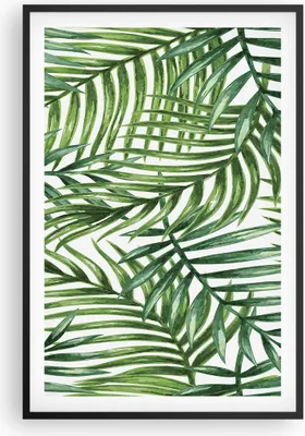 Produktbild von Gerahmtes Poster - Schwarzer Rahmen - Palme Blatt grün - 61x91,5 cm - Wand Bild - Wanddeko - Wandbilder - Kunstposter - Wandposter - Bilderrahmen - Bilder - Kunstdruck - Wandbild - P2BPA61x91-3777