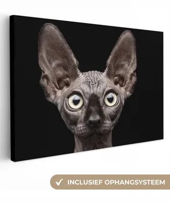 Obrázek produktu pro OneMillionCanvasses® Malba na plátně Nástěnná malba na plátně - Kočka - Domácí zvířata - Portrét - Černá - 150x100cm