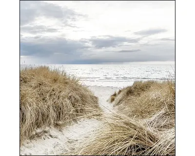 Produktbild von Glasbild Ocean View III 30x30 cm
