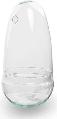 Obrázek produktu pro Zahrada v láhvi „Vejce“ - terárium - recyklované sklo - Ø26cm x Ø12cm