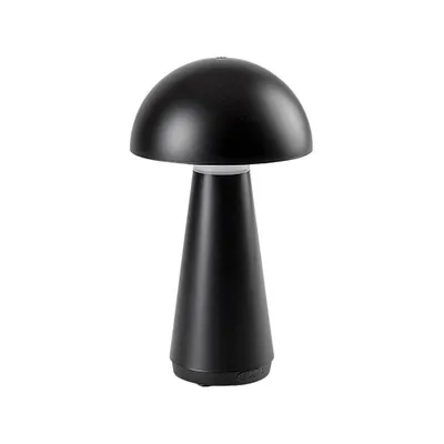Image de Lampe de table portable LED 3W ISHTAR 76007 Rabalux
