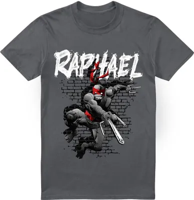 Produktbild von Teenage Mutant Ninja Turtles - T-Shirt für Herren TV6534 (L) (Holzkohle)