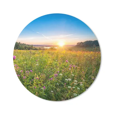 Produktbild von MuchoWow® Mauspad Mousepad Sonne - Gras - Blumen 20x20 cm - Mousepads - Maus Mat - Pad - Mausunterlage - Schreibtischmatte