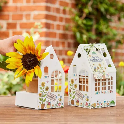 Image de Serre « Le jardin fleuri de Timo » – Kit de culturede tournesols pour enfants – Kit complet avec pots, substrat et mode d'emploi