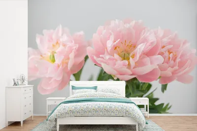Produktbild von MuchoWow® Fototapete für Wohnzimmer oder Schlafzimmer Wandtapete Vinyl Motivtapete Blumenstrauß aus rosa Pfingstrosen - 525x350 cm - Das Hintergrundbild