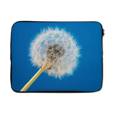 Produktbild von MuchoWow® Laptop Hülle 15 Zoll Löwenzahn - Blume - Terrasse Laptoptasche - Laptoptasche - Sleeve - Rundum-Schutz