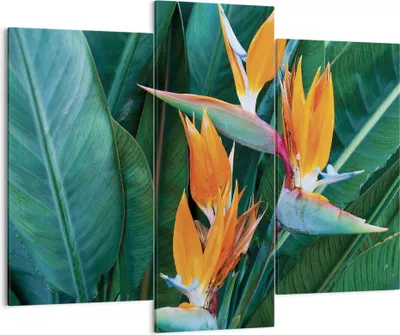 Produktbild von Bild auf Leinwand - Leinwandbild - 3 Teile - Himmlisch Vogel Blume - 130x100cm - Wand Bild - Wanddeko - Wandbilder - Leinwanddruck - Bilder - Wanddekoration - Leinwand bilder - CB130x100-4980