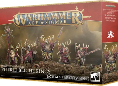 Obrázok produktu pre Warhammer Age of Sigmar Maggotkin of Nurgle Putrid Blightkings