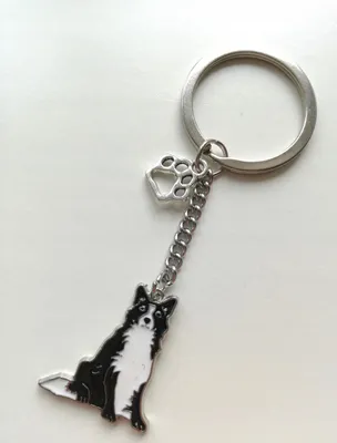 Produktbild von Schlüsselanhänger Hund Border Collie