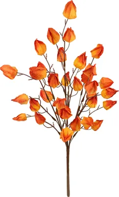Künstlicher Physalis-Strauch 52 cm, Herbstdeko-Zweig